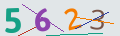 verifycode